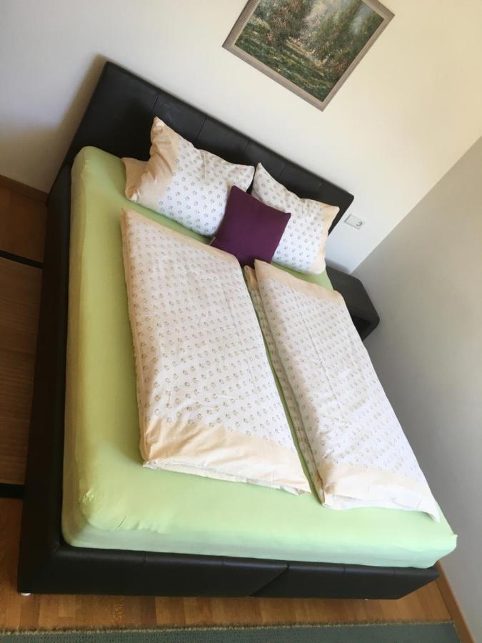 Apartment Kaprun 니에데른실 외부 사진